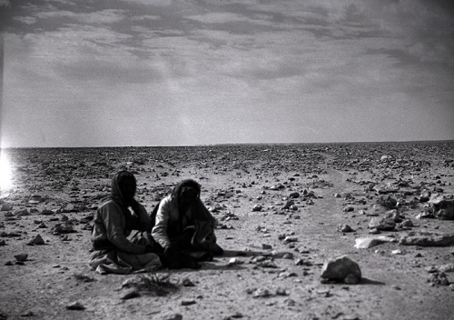 بادیه نشینان عربستان